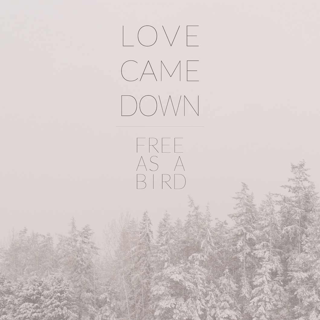 Love Came Down (Digital Single)